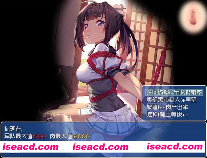 3.jpg 3.jpg