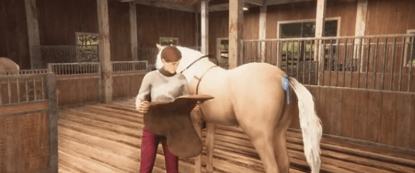 图片[4]-【模拟休闲/中文/3D】我的马：灵魂契约/My Horse: Bonded Spirits 官方中文版【13.5G/新作】-嘤嘤怪之家
