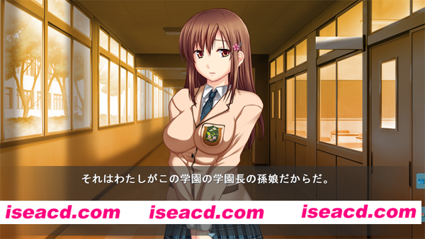 185312t52k5aktaiqkkzjn.png