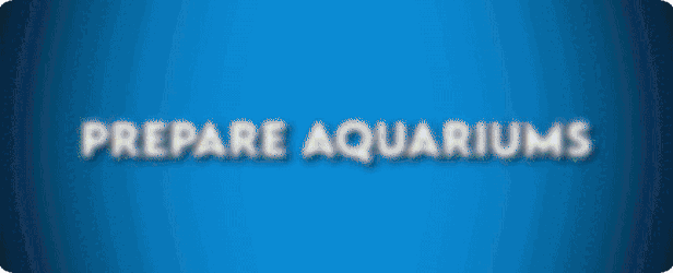 图片[1]-【经营SLG/中文】建造水族馆，繁殖鱼类，拓展你的业务! – Aquarist V1.1 官方中文【12G/新作】-嘤嘤怪之家