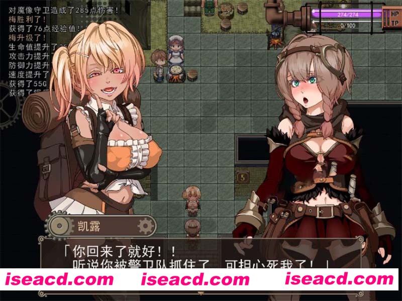 5.jpg
