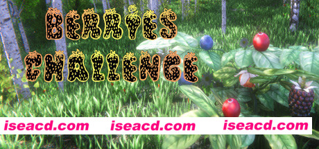 浆果挑战赛/Berries Challenge