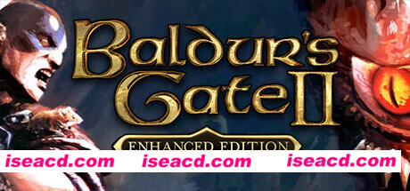 博德之门2:加强版 Baldur’s Gate II: Enhanced Edition V2.6.6.0 官方中文 解压即撸