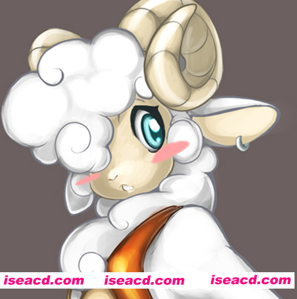 190422kuql9c8wj89fhw5m.jpg