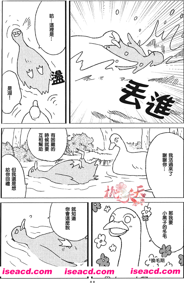 174350w7q7j7tpinx7kinq.jpg