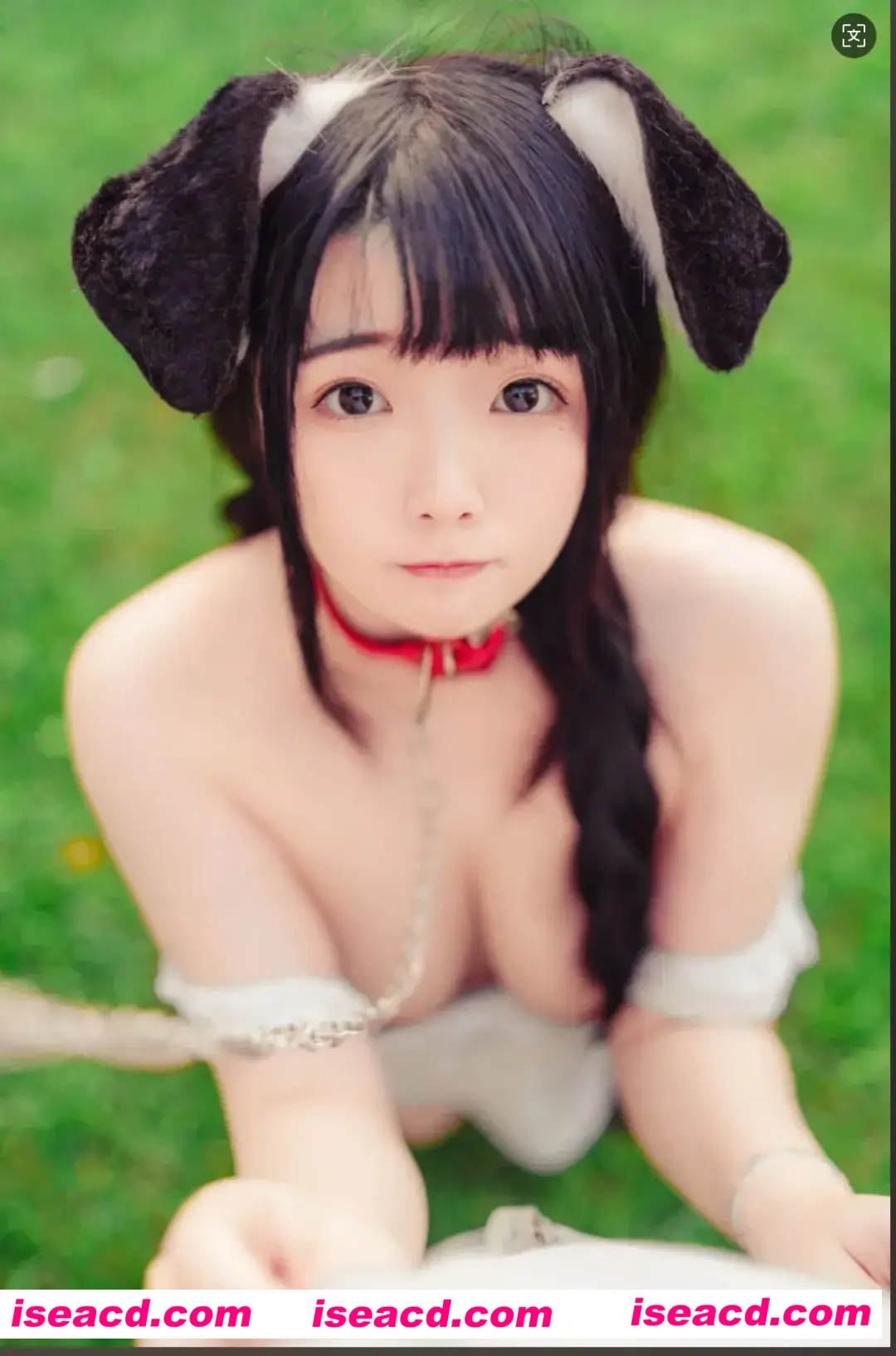 图片[1]-【COSPLAY】落落Raku  Your Puppy! [49P]【400M】-嘤嘤怪之家