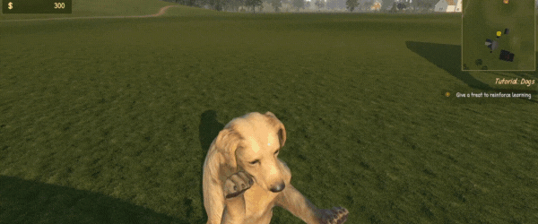 图片[1]-【养成SLG/中文/3D】动物训导师模拟器 Animal Trainer Simulator 官方中文版【5.52G/新作】-嘤嘤怪之家