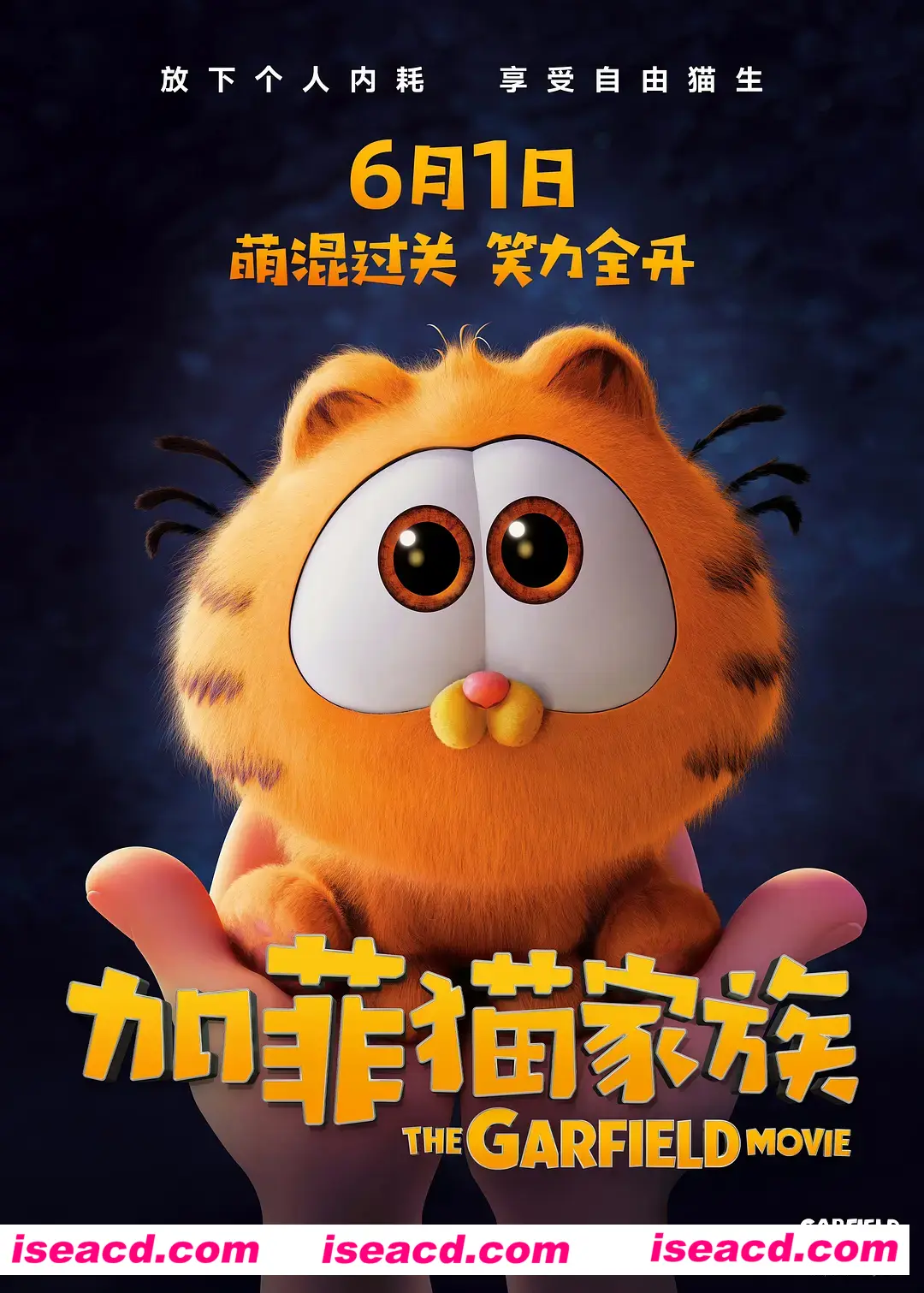 图片[1]-【影视资源/中字/非枪版】加菲猫家族/The Garfield Movie 中字1080P完整版【8.9G/全CV】-嘤嘤怪之家