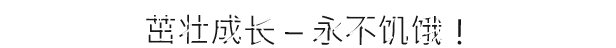 图片[10]-【ARPG/中文/3D】摧毁：地下世界 V1.4.0.14 整合Pets & Dungeons 官方中文版【3.6G】-嘤嘤怪之家