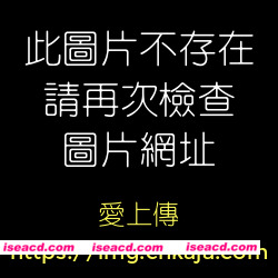 图片[1]-【cosplay】[神楽坂真冬] 骆驼乐园 [75P]【200M】-嘤嘤怪之家