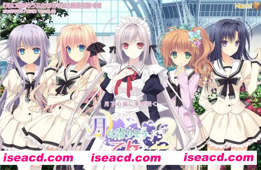 图片[1]-【爆款日系ADV拔作/官中/女装/全CG】近月少女的礼仪2 月に寄りそう乙女の作法2 官方中文版+全CG存档【14.0G】-嘤嘤怪之家