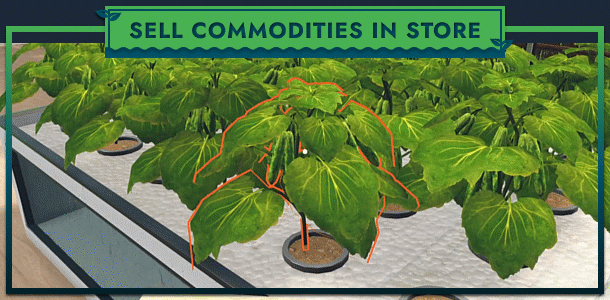 图片[3]-【模拟SLG/中文】水培农场和商店模拟器 Hydroponics Farm and Store BUILD 16485892官方中文版【1.9G/新作】-嘤嘤怪之家