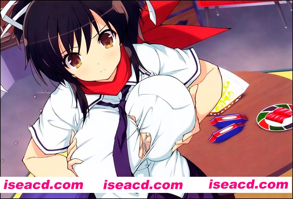 图片[2]-【大作ACT/中文/魔改步兵】闪乱神乐 Estival Versus -少女们的选择+邪恶魔改MOD整合【18.9G/全CV】-嘤嘤怪之家