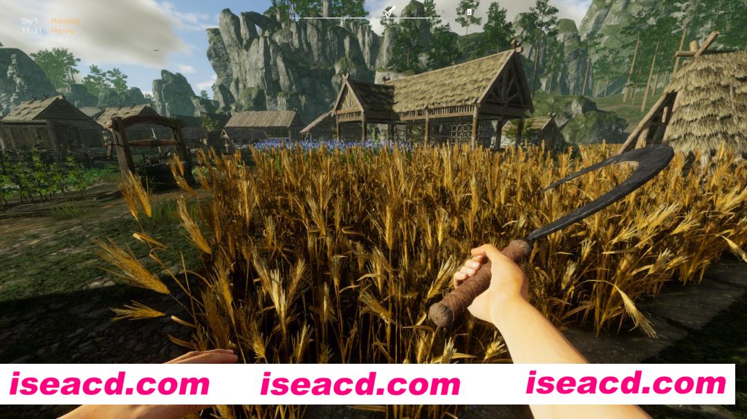 图片[1]-【ACT/中文/3D】维京边境/Viking Frontiers Ver1.00 官方中文版【11G/新作】-嘤嘤怪之家