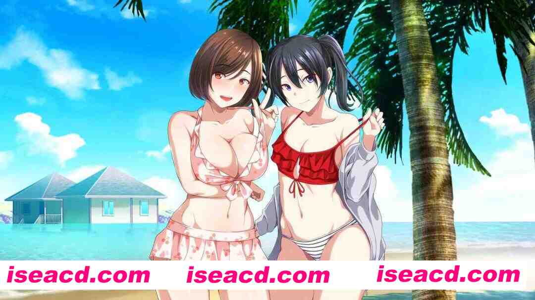 图片[3]-【日系ADV/官中/后宫/PC】群女乱滩齐斗艳：处男撒香引爆春潮海滩 オンナが群がるカオスビーチ　フェロモンをまき散らす童貞男が練り歩く！ Ver1.0 官方中文版【1.64G】-嘤嘤怪之家