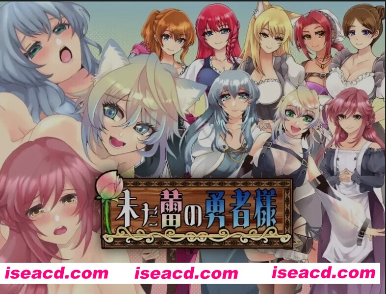 图片[1]-[日式RPG/AI汉化/PC+安卓] 未开花的勇者大人V 1.02 内嵌AI汉化版 [2.4G/新作]-嘤嘤怪之家