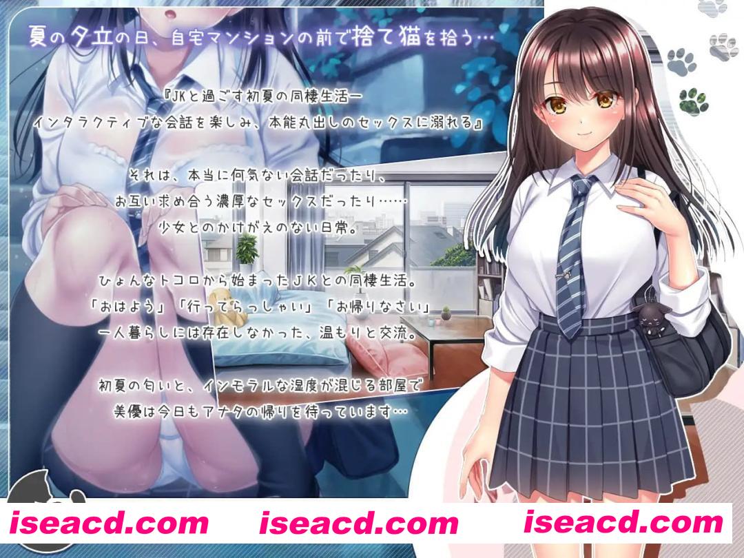 【SLG/AI汉化/MTool/CV】与流浪猫少女的生活 CAT Girl Sweet Days【PC/1.7G】