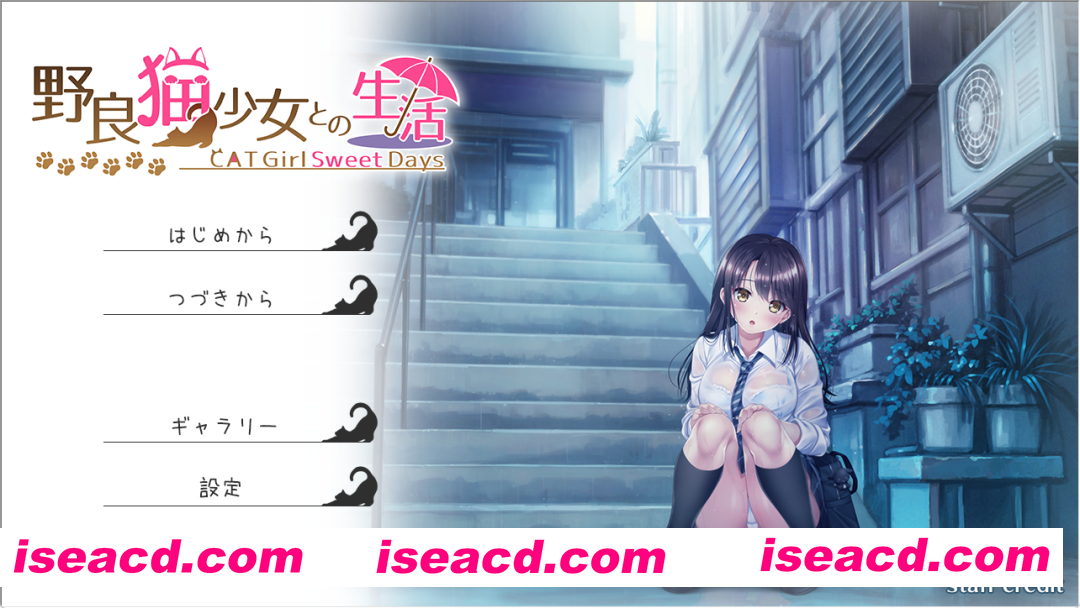 图片[1]-【精品SLG/汉化/同居/怀韵/中出/PC】与流浪猫少女的甜蜜日常 野猫少女的同居生活～Cat Girl Sweet Days～野良猫少女との生活 Ver1.10 挂载AI汉化版【1.75G/CV】-嘤嘤怪之家
