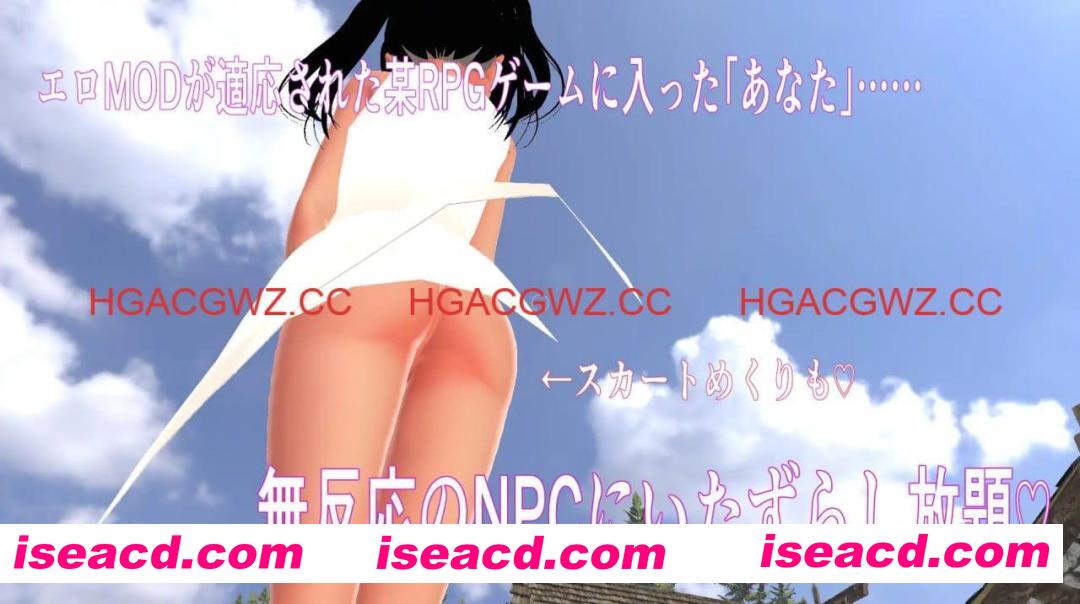 【3D/生肉/动态】NPC凌辱 3D ～海边小镇与色情MOD～【PC/1.2G】