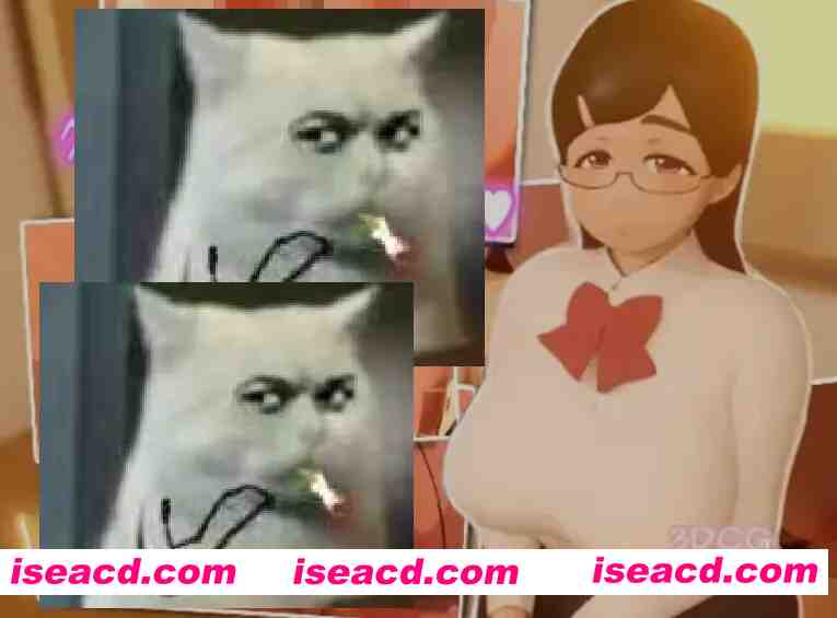 图片[1]-[3D互动/可VR/全动态] 与班级委员长放学后的H行为 v25.05.24 VR提取版+视频版 [5.9G/全CV]-嘤嘤怪之家