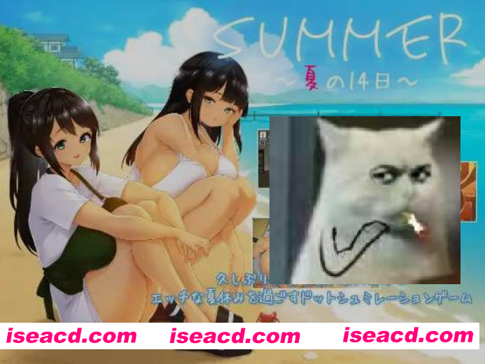 图片[1]-[精品SLG/汉化/全动态] SUMMER ~夏日的14天~/SUMMER ~夏の14日~ ddtzz个人汉化版 [1.4G/新作/全CV]-嘤嘤怪之家