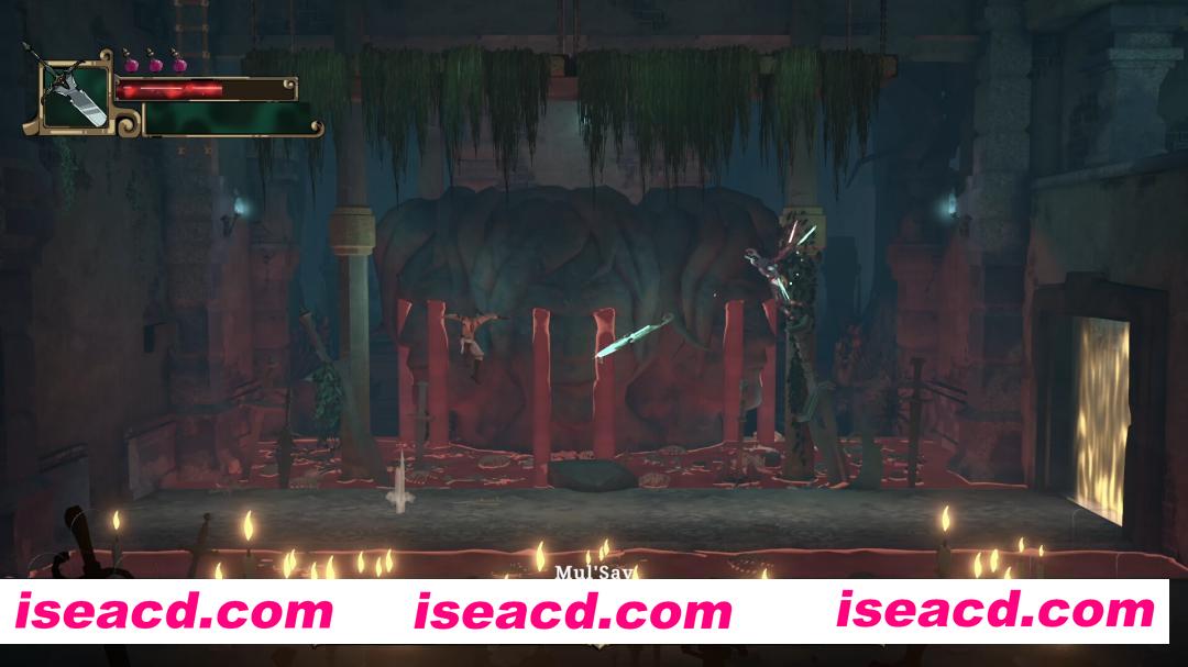 图片[2]-[横版RPG/中文/2D] 亡魂战纪/Winds Of Arcana: Ruination Build.20812999 官方中文版 [15G/新作]-嘤嘤怪之家