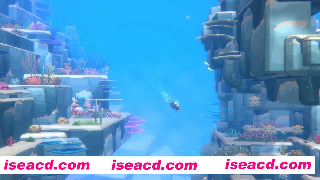 图片[1]-[探索RPG/中文] 潜水员戴夫/DAVE THE DIVER v1.0.5.1749+全DLC 官方中文版 [5.4G/更新]-嘤嘤怪之家