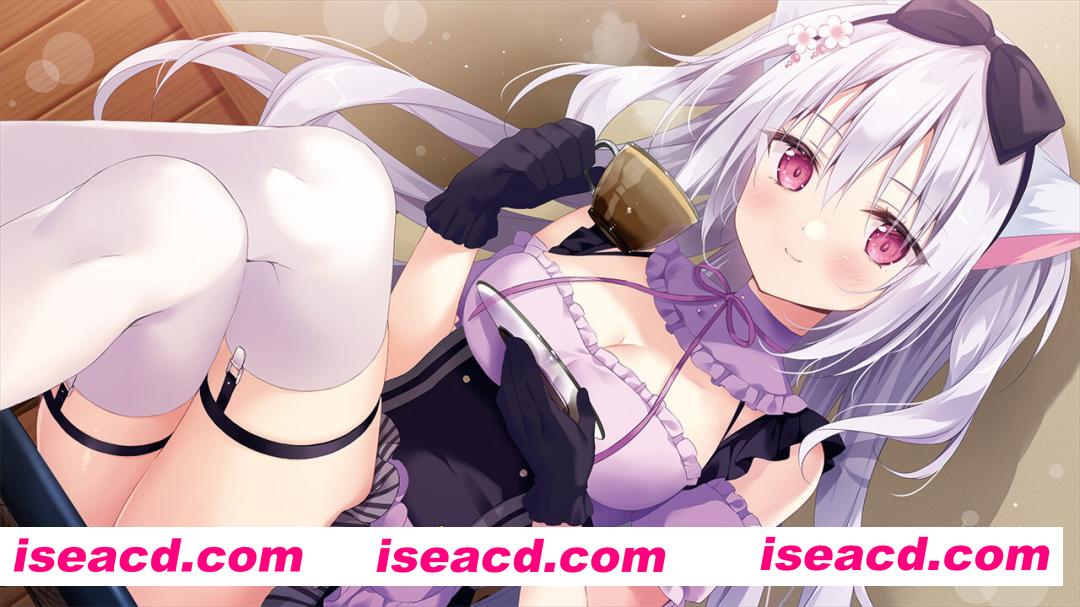 图片[5]-【拔作ADV/官中/兽耳/后宫/PC】巧可甜恋3 あまいろショコラータ3 Amairo Chocolate 3 官方中文版+存档【5.76G/CV】-嘤嘤怪之家