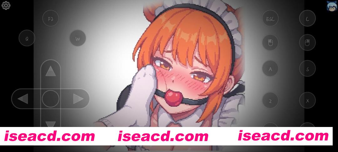 图片[13]-【日系RPG/官中/捆绑/PC+安卓joi】东方捕缚秘录 官方中文版【660M】-嘤嘤怪之家