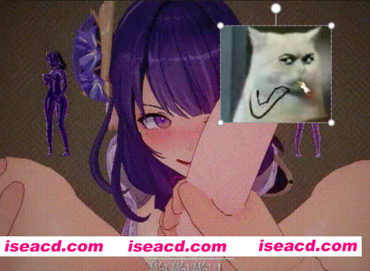 图片[1]-[MMD/中文/步兵] 喵喵喵 12月28原神 剧情 雷电将军人格排泄沦为发情母猪 步兵版 [600M/CV]-嘤嘤怪之家