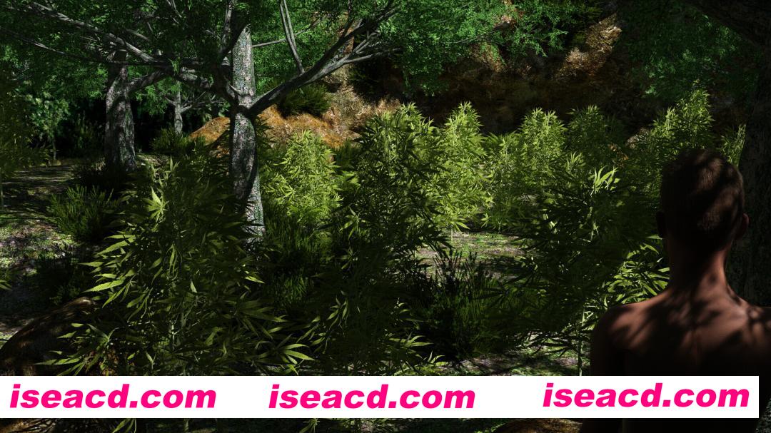 图片[4]-【欧美SLG/官中/血腥/丧尸/PC+安卓】苏菲：来自禁区的少女 Sophie: The Girl from the Zone v1|40 官方中文版【7.24G】-嘤嘤怪之家