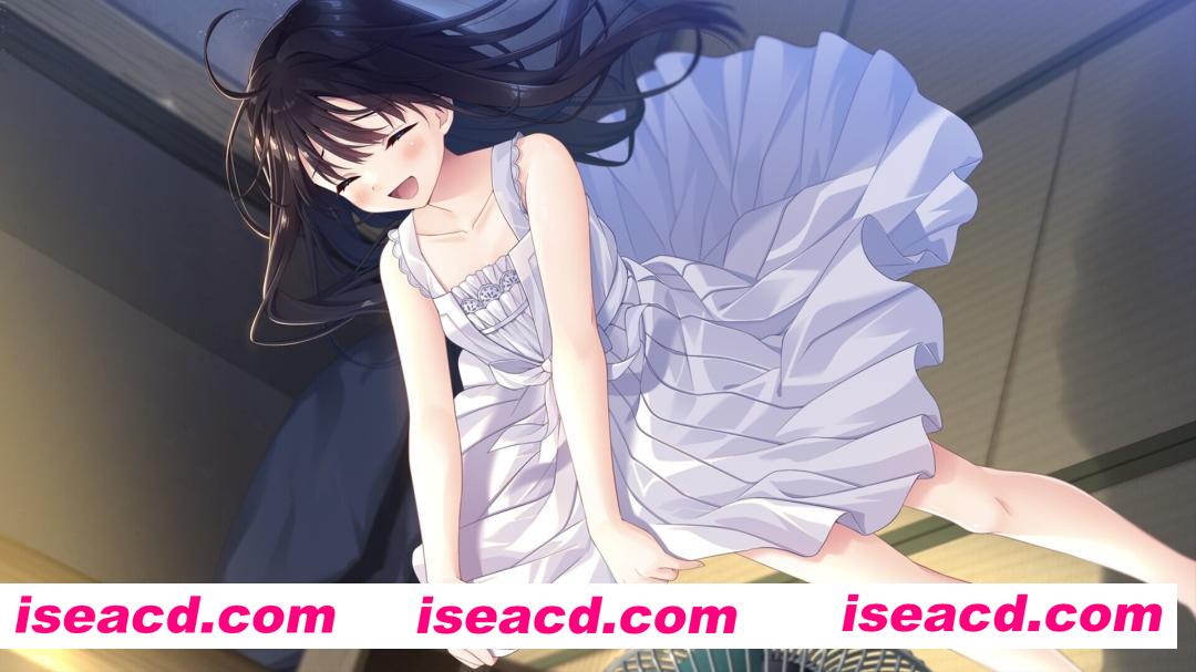 图片[10]-【日系RPG精品/官中/骨科/无码/PC】痴情哥哥与病弱妹妹的乡间生活 エッチで一途なド田舎兄さまと、古式ゆかしい病弱妹 官方中文版+DLC1+2+3+4【4.33G/CV】-嘤嘤怪之家