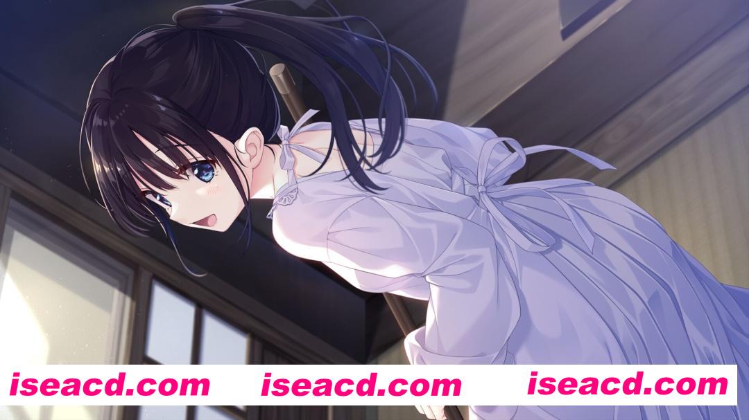 图片[7]-【日系RPG精品/官中/骨科/无码/PC】痴情哥哥与病弱妹妹的乡间生活 エッチで一途なド田舎兄さまと、古式ゆかしい病弱妹 官方中文版+DLC1+2+3+4【4.33G/CV】-嘤嘤怪之家