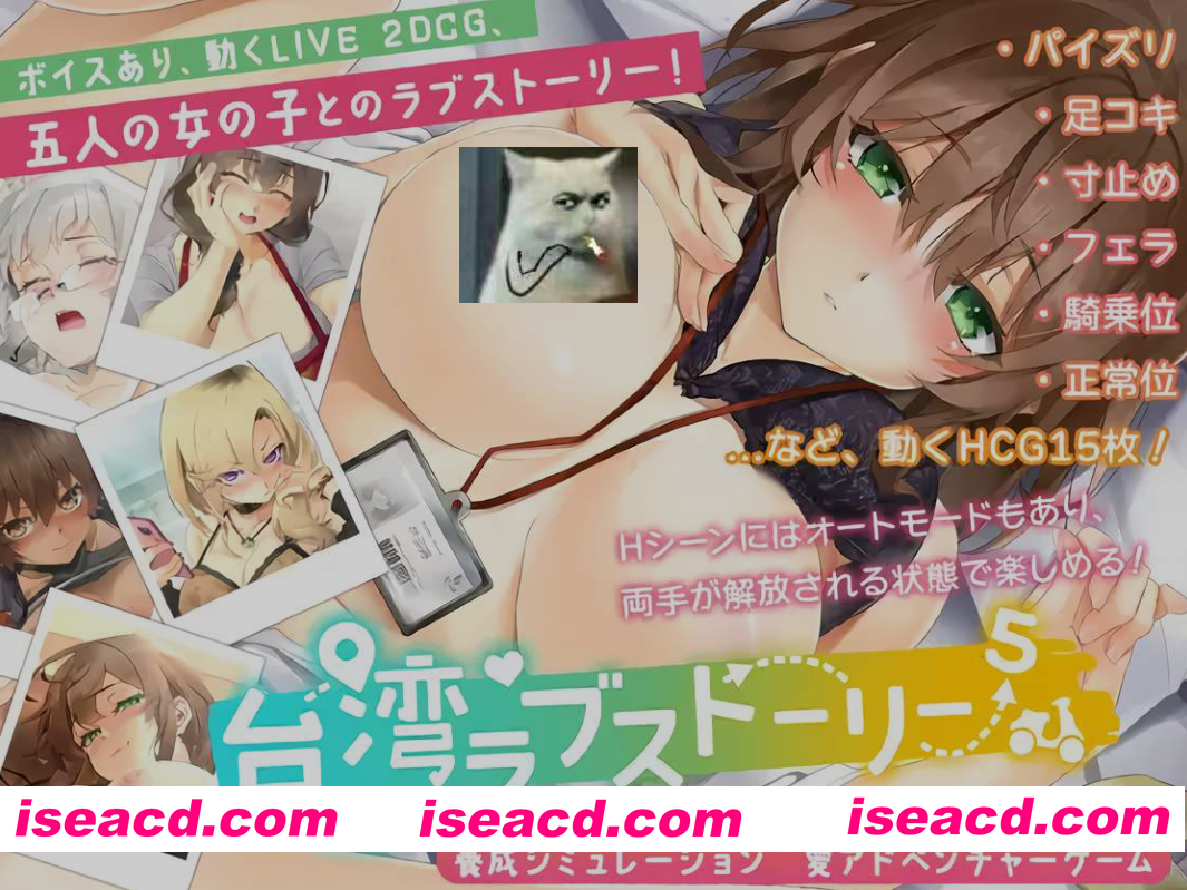 图片[1]-[SLG/官中/全动态]  台湾爱情故事⁵ 台湾ラブストーリー⁵ 官方中文版 [3.7G/新作/CV]-嘤嘤怪之家