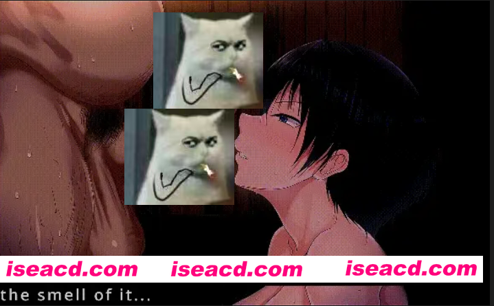 图片[1]-[2D动画/步兵] EleanorNTR 2D动画 爆RU肥臀同人 夏色泡影 有CV 22分 [1v] [300M/CV]-嘤嘤怪之家