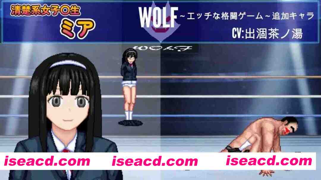 【ACT/官中/动态/CV】WOLF~色色的升级型格斗游戏~v26.03.09【PC/12.1G】 PC游戏 第3张-海阁社区-i社中国-中文汉化官方网站