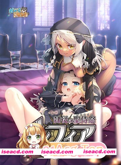 [PC-ADV] [PC/ADV/巨乳]隶从的圣侍祭·露菲亚 隷従の聖侍祭 ルフィアAI汉化[1.74G] [BD]