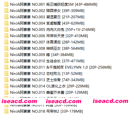 图片[6]-[COSPLAY/合集/带视频] NinJA阿寨寨 18套作品合集+原档视频  [4.9G]-嘤嘤怪之家