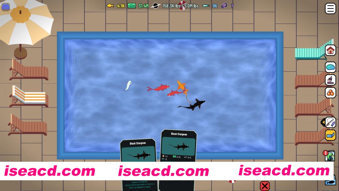 图片[6]-[休闲游戏/中文/2D] 黑洞钓鱼/Black Hole Fishing Build.22735339 官方中文版 [300M/新作]-嘤嘤怪之家