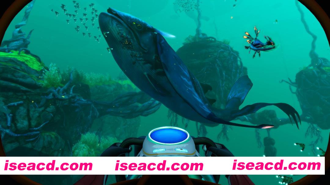 图片[7]-[探索ARPG/中文/3D] 深海迷航：冰点之下/Subnautica: Below Zero/支持网络联机 v2.3.0 官方中文版 [8G/新作]-嘤嘤怪之家