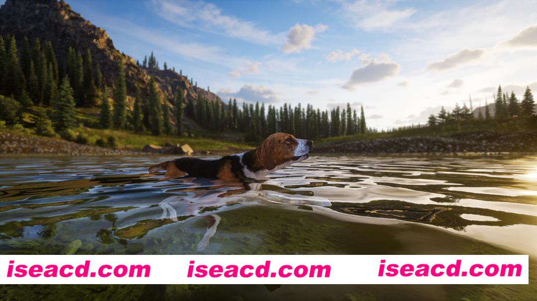 图片[6]-[ARPG/中文/3D] 狩猎之道2/Way of the Hunter 2 Build.22521819 官方中文版 [16G/新作]-嘤嘤怪之家