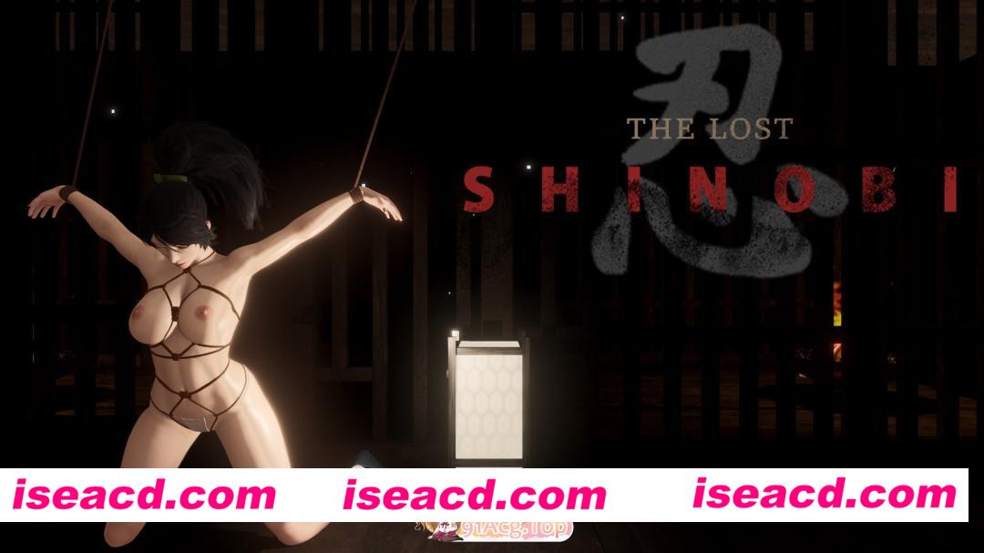 [3D]  [微云/FM]失落忍者/The Lost Shinobi/官中+无码+动态 pc [1.25G]