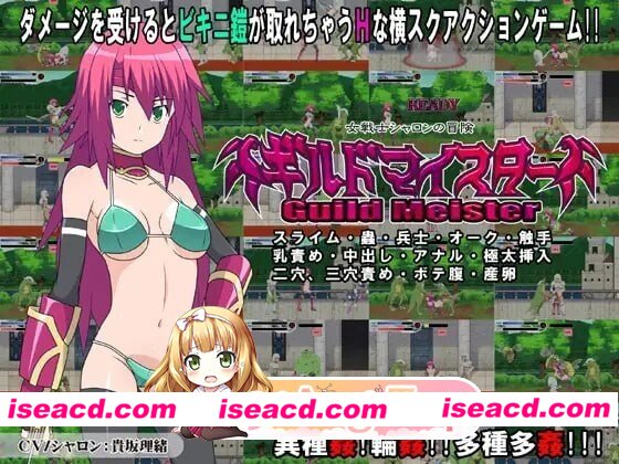 [PC-ACT] [ACT/2D/亚洲]公会会长 ギルドマイスター 官方正式版[PC/0.98G] [BD]