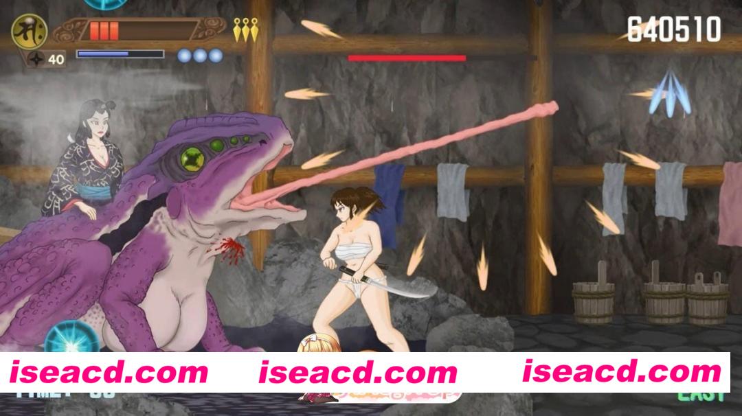 [PC-ACT] [ACT/2D/亚洲]忍者少女 NINJA GIRL v1.6.6 官方正式版[PC/1.75G] [BD]