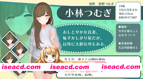 [百度/迅雷PC/日式ADV/新作] 心爱的妻子在旅行中被NTR的波利尼西亚式性爱故事。愛する妻が寝取られ旅行でポリネシアンセックスする話。 AI汉化版 [1…