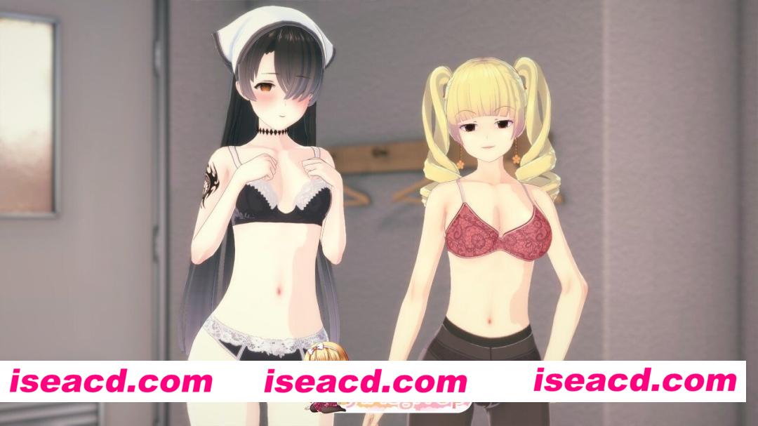 [PC-SLG] [SLG/3D/亚洲]特殊后宫职业 Special Harem Class v0.4.6 part2a 汉化版[PC+安卓/3.08G] [BD]