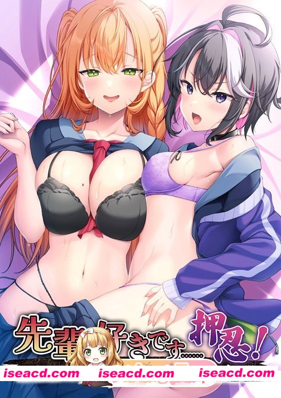 [ADV]  [微云/FM]前辈，我喜欢你……押忍！～仰慕我的后辈是矮个子美少女……不良少女！？/AI汉化+存档 pc [603m]