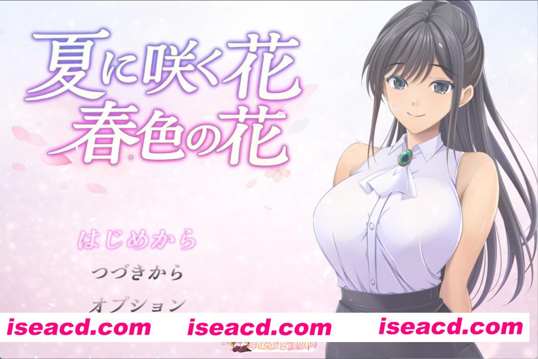 [日系/RPG]夏日绽放之花：春色之花 AI汉化版[PC/安卓/2.36G][FM/百度]