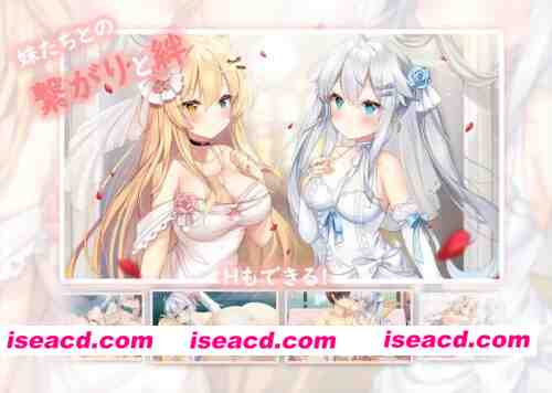 图片[2]-[PC/全CG/神作强烈推荐/后宫/动态/CV]妹妹连结:想要传达的爱恋 [1+5.76G][百度盘]-嘤嘤怪之家