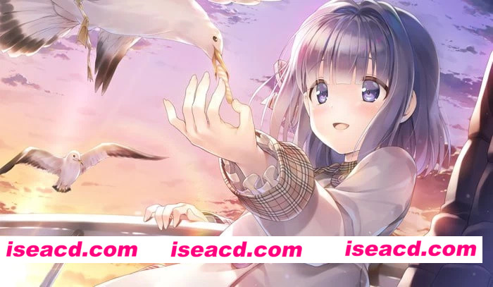 图片[2]-【更新/ADV/官中/PC/CV】スタディ§ステディ / Study § Steady v1.0.3 [1+4.8g] [百度盘]-嘤嘤怪之家